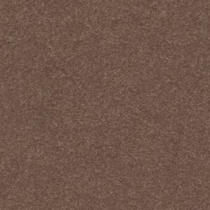 MONTAGE I by Shaw Floors - Mission