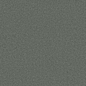 PREMIER ROLE by Shaw Floors - Caribbean