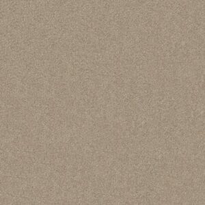 PERFECTLY TIMED by Shaw Floors - Cork Board
