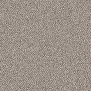 BREAK AWAY (B) by Shaw Floors - Canvas
