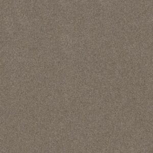 OPPORTUNITY KNOCKS by Shaw Floors - Moccasin