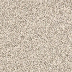 DELICATE DISTINCTION CLASSIC I by Shaw Floors - Cricket Club