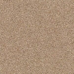 ALWAYS MINE by Shaw Floors - Canyon Trail