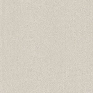 FINE TAPESTRY by Shaw Floors - Champagne Toast