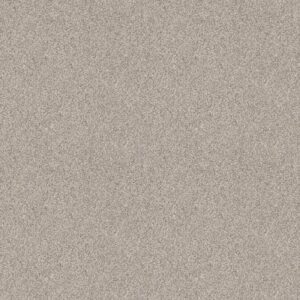 DEVON CLASSIC II by Shaw Floors - Breton
