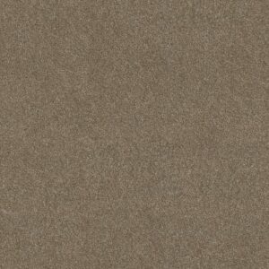 ACROSS THE BAY by Shaw Floors - Canyon Trail