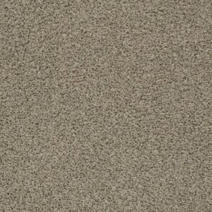 DEL MORRO by Shaw Floors - Serene