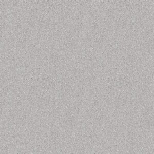 GRANDIOSE by Shaw Floors - Silver Lining