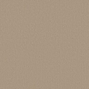 CANVAS COMFORT by Shaw Floors - Walk On The Beach