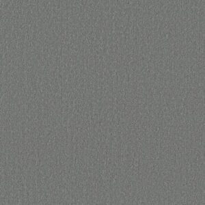 CANVAS COMFORT by Shaw Floors - Dolphin Sighting