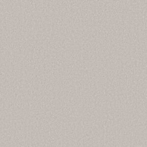 LAS CRUCES by Shaw Floors - Luna