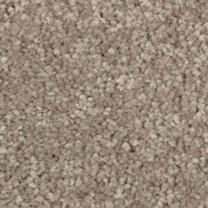 Elegant Appeal I by Mohawk - Iron Rust