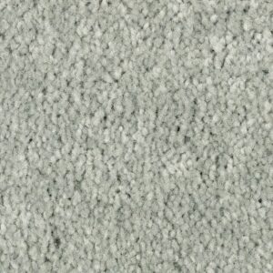 Elegant Appeal I by Mohawk - Fairway