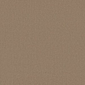 CANVAS COMFORT by Shaw Floors - Falling Leaves