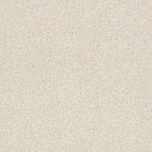 TONAL COMFORT BLUE by Shaw Floors - Champagne Toast