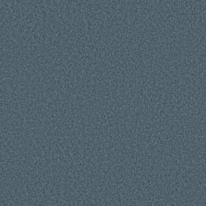 TONAL COMFORT I by Shaw Floors - Surf Lessons