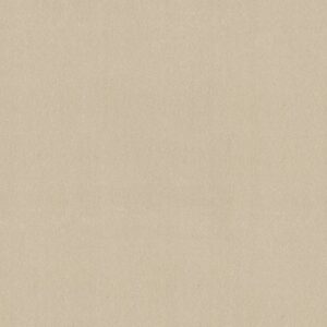 AWAKEN SPIRIT II 12' by Shaw Floors - Windfresh