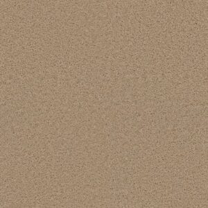 EXCEPTIONAL II by Dreamweaver - Cookie Dough 705