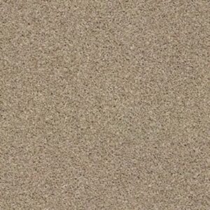 ALWAYS MINE by Shaw Floors - Canoe