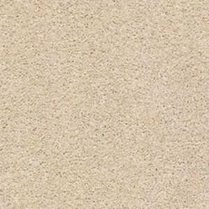 ALWAYS MINE by Shaw Floors - Delicate