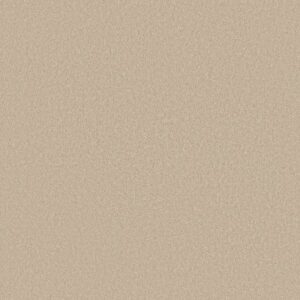 TIMELESS APPEAL I 12' by Shaw Floors - Pudding