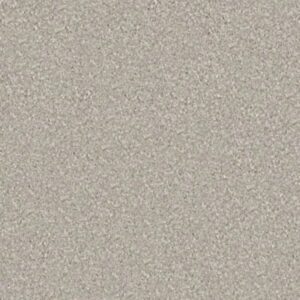 MAJORITY RULES by Shaw Floors - Greige