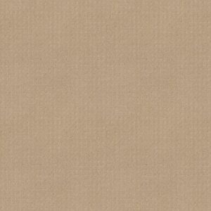 TOWN SQUARE by Shaw Floors - Magic