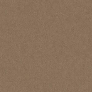 MAINSTAY by Shaw Floors - Raw Wood