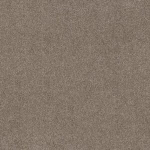 GRAND OUTLOOK by Shaw Floors - Pea Gravel