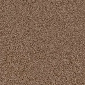 EXCEPTIONAL by Dreamweaver - Toffee Crunch 849