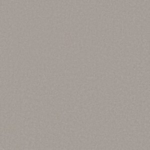 AWAKEN SPIRIT II 15' by Shaw Floors - Hazy Sky