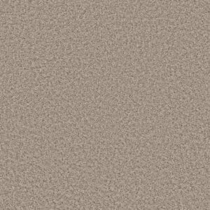 COOL FLAIR by Shaw Floors - Oyster