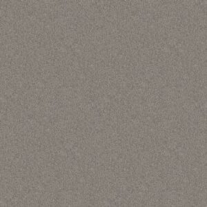 NEWBERN CLASSIC 12' by Shaw Floors - Haze