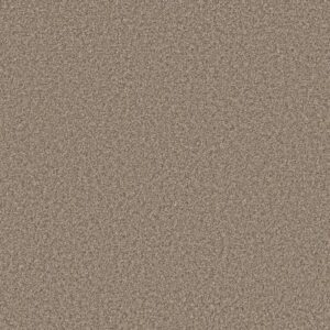 ARTISTIC FUSION II by Shaw Floors - Honeycomb