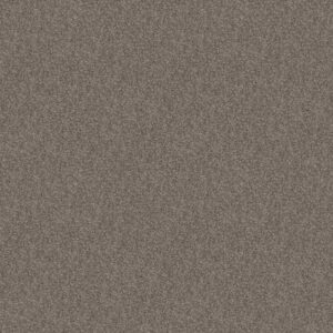 CABANA BAY TONAL by Shaw Floors - Walking Trail