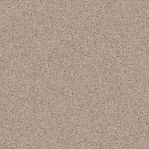 STEP RIGHT UP II 15' by Shaw Floors - Natural Beige