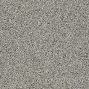 ALWAYS MINE by Shaw Floors - Drift