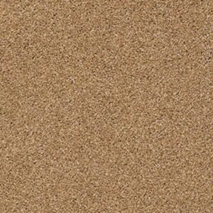 ALWAYS MINE by Shaw Floors - Saddle