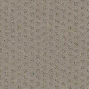 MY EXPRESSION by Shaw Floors - Missoula