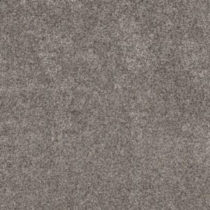CALM SIMPLICITY II by Shaw Floors - Shoreline