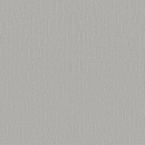 ENDLESS MEMORIES by Shaw Floors - Dreamy