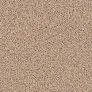 EXCEPTIONAL by Dreamweaver - Cashmere 580