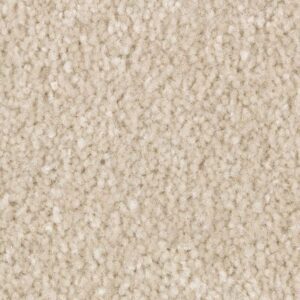 Elegant Appeal I by Mohawk - Desert Dust
