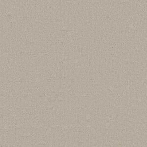 CANVAS COMFORT by Shaw Floors - Sand Castle