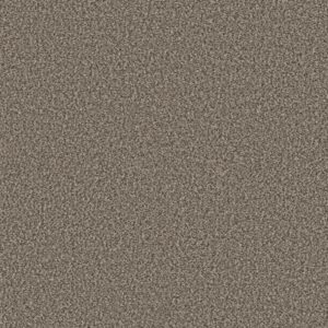 RENEWED ENERGY I by Shaw Floors - Countryside