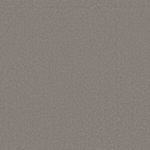 AWAKEN SPIRIT II 12' by Shaw Floors - Boulder Taupe