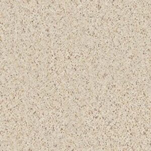 CROSS PATHS (B) by Shaw Floors - Outer Bank