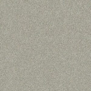 MONTAGE I by Shaw Floors - Morning Frost