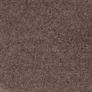 LARIMORE 15' by Shaw Floors - Molasses