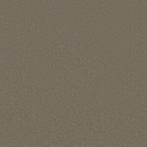 SHINGLE CREEK III 12' by Shaw Floors - Wood Smoke